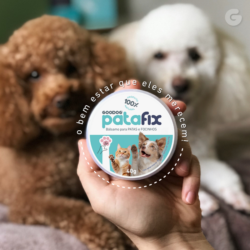 PataFix - Balm Hidratante para Patas e Focinho 40g - O